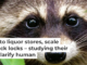 The moment you look away from those adorable eyes, these mischievous creatures will sneak out of your lab. Joshua J. Cotten/Unsplash, CC BY-SA